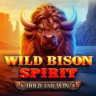 Wild Bison Spirit